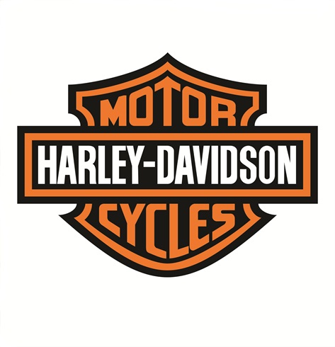 PLACA DECORATIVA HARLEY